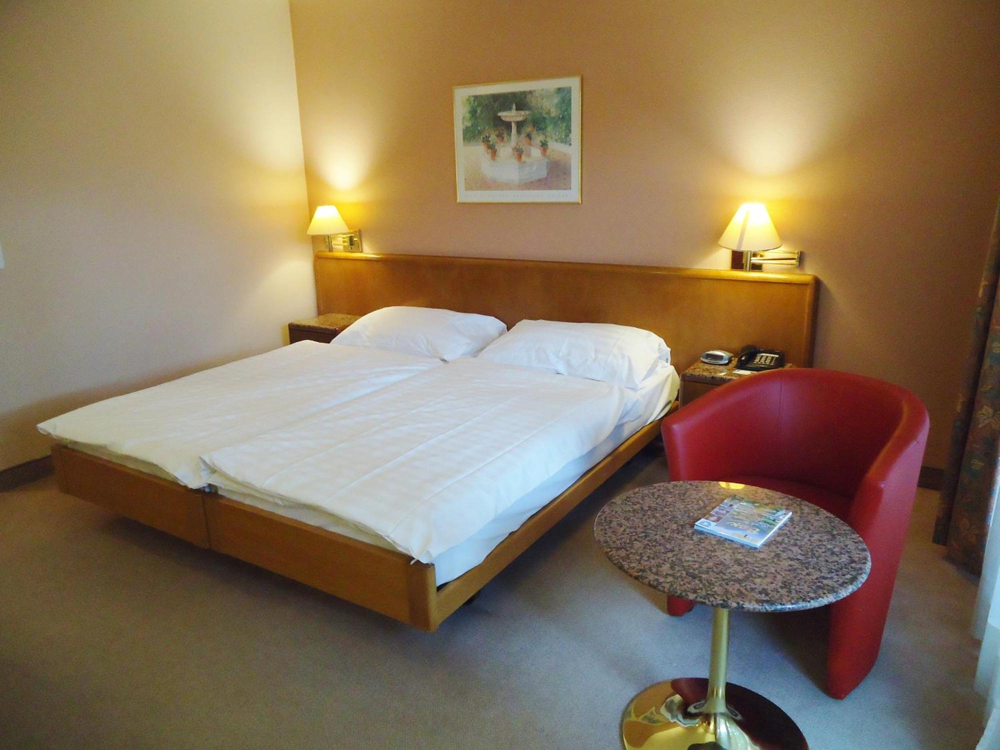 Hotel Le Cedre Bex Phòng bức ảnh